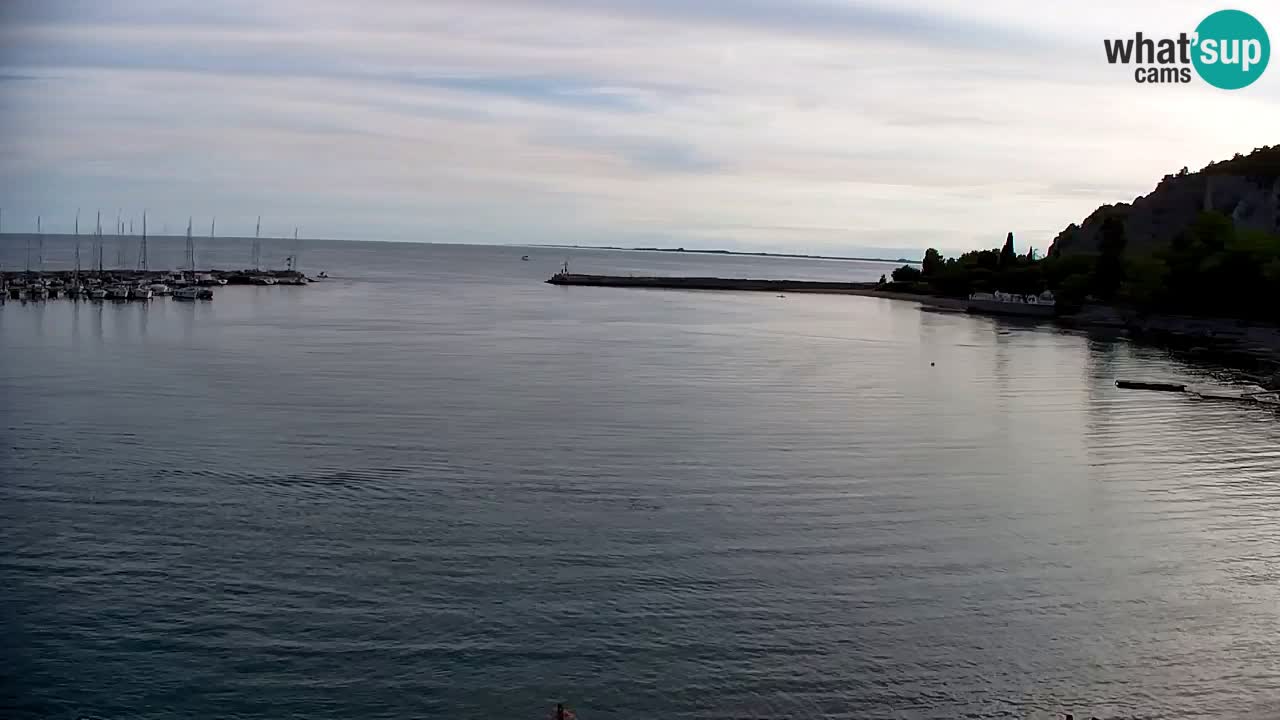 Webcam Baie de Sistiana – Vue en direct de la marina et de la baie
