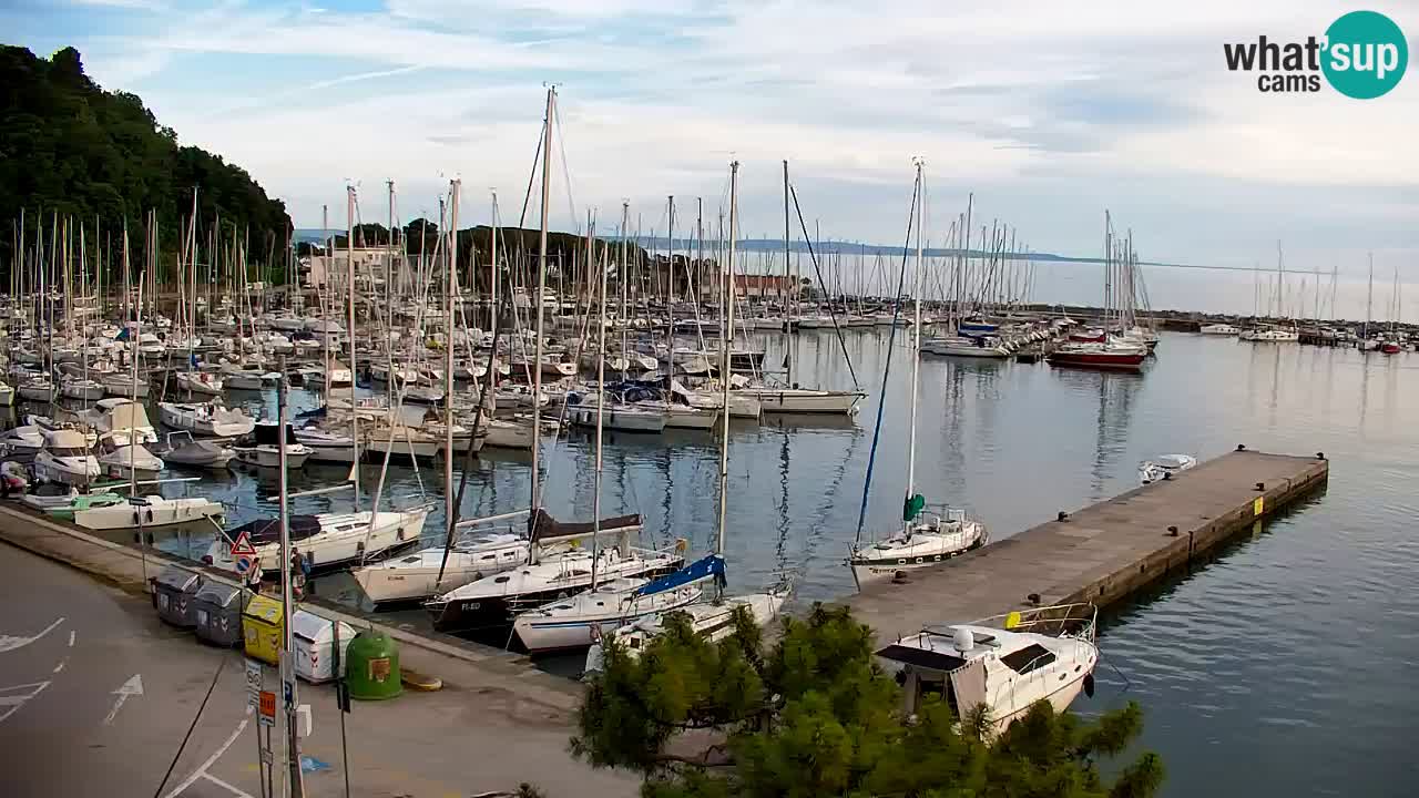 Webcam Sistiana Baia – Live View of the Marina and Gulf