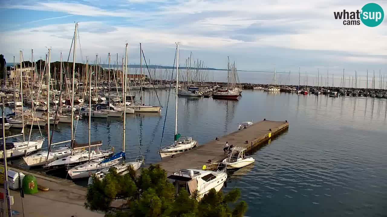 Webcam Sistiana Baia – Live View of the Marina and Gulf