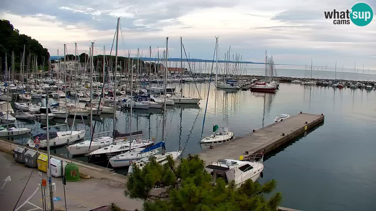 Webcam Sistiana Baia – Live View of the Marina and Gulf