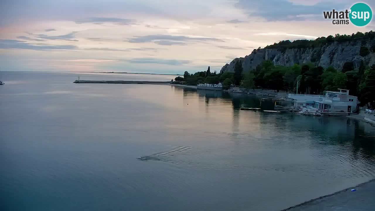 Webcam Sistiana Baia – Live View of the Marina and Gulf