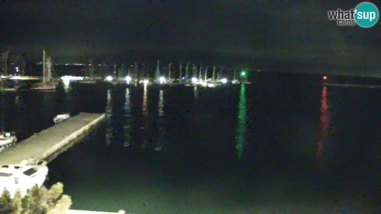 Webcam Sistiana Baia – Live View of the Marina and Gulf