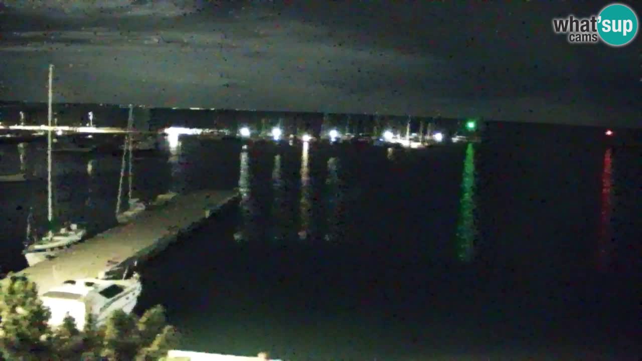 Webcam Sistiana Baia – Live View of the Marina and Gulf