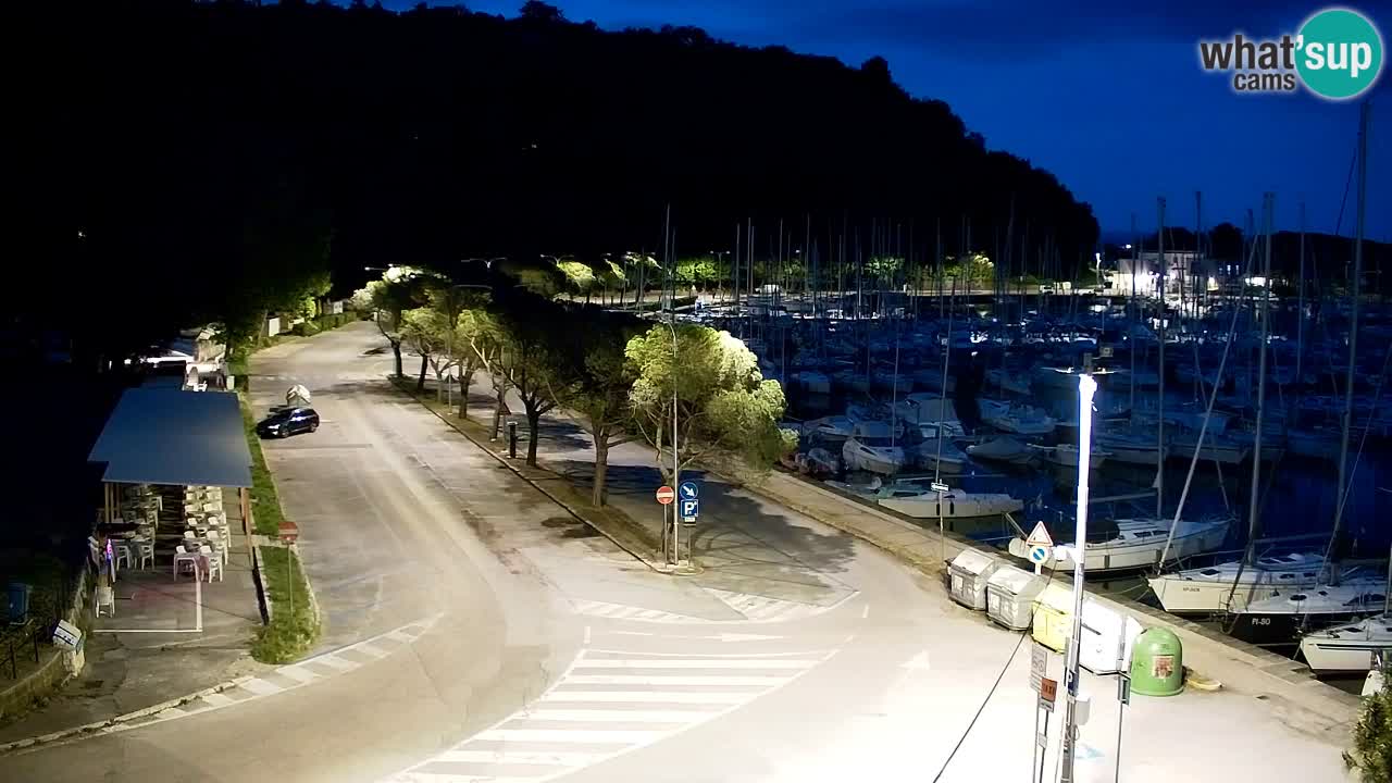 Webcam Sistiana Baia – Live View of the Marina and Gulf