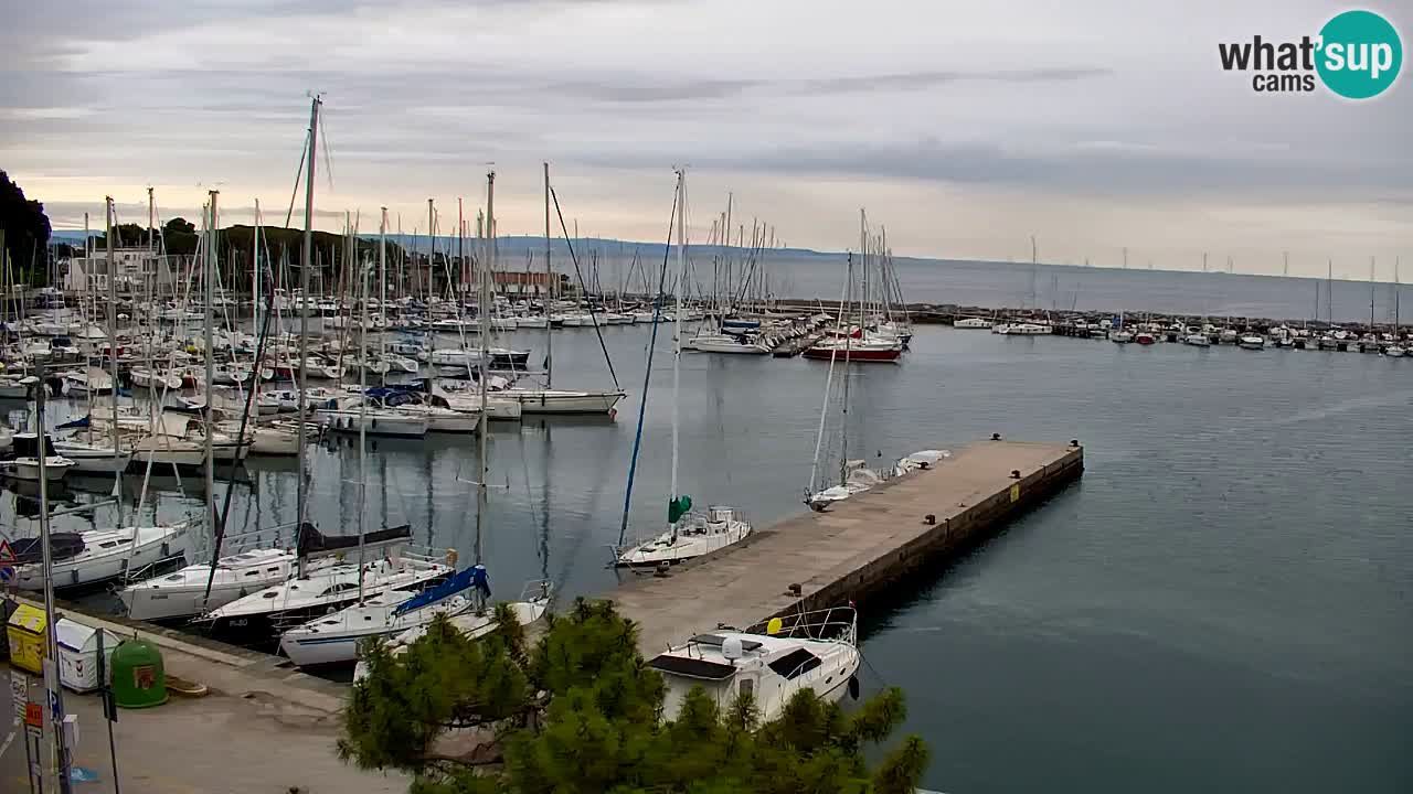 Webcam Sistiana Baia – Live View of the Marina and Gulf