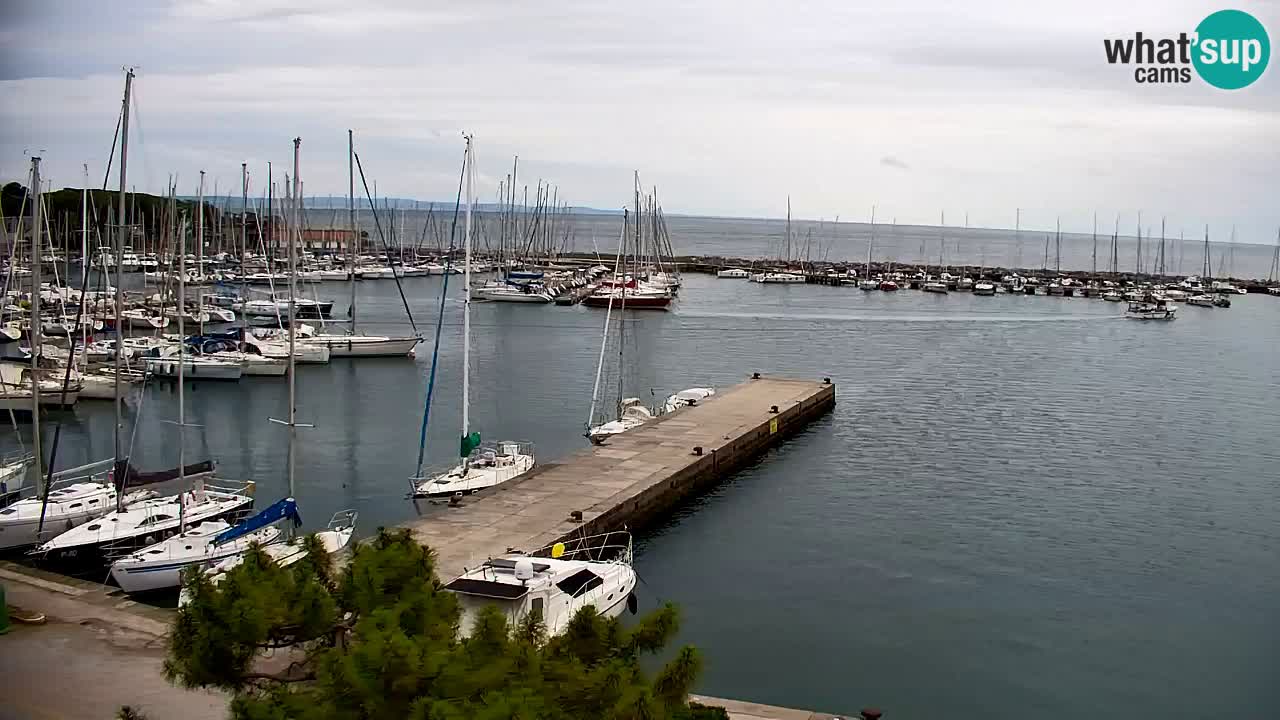 Webcam Sistiana Bucht – Liveblick auf Marina und Bucht