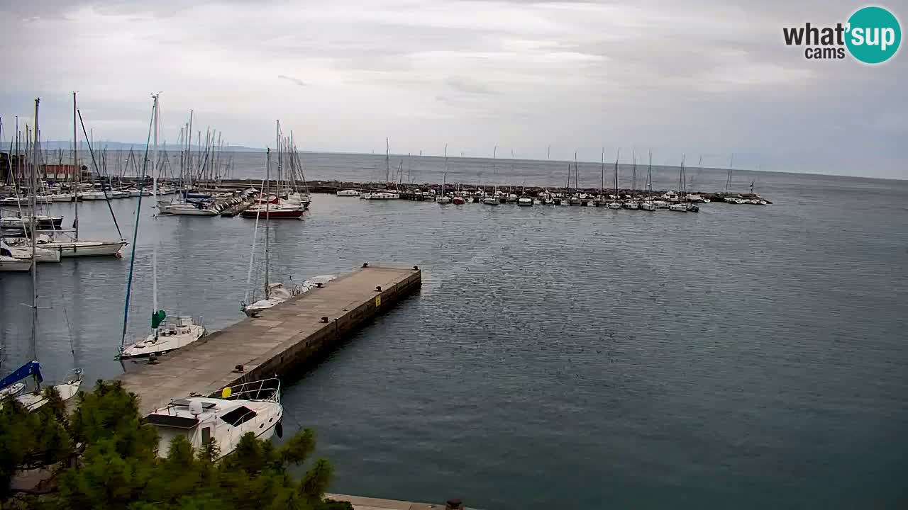 Webcam Sistiana Baia – Live View of the Marina and Gulf
