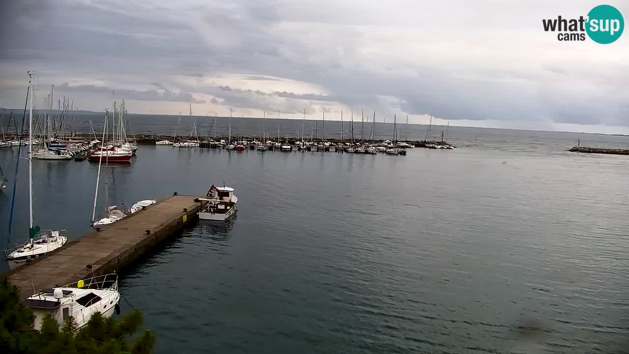 Spletna kamera Sesljanski zaliv – Pogled v živo na marino in zaliv