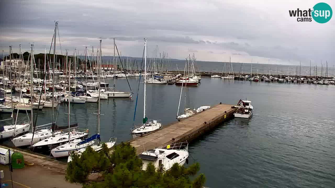 Webcam Sistiana Baia – Live View of the Marina and Gulf