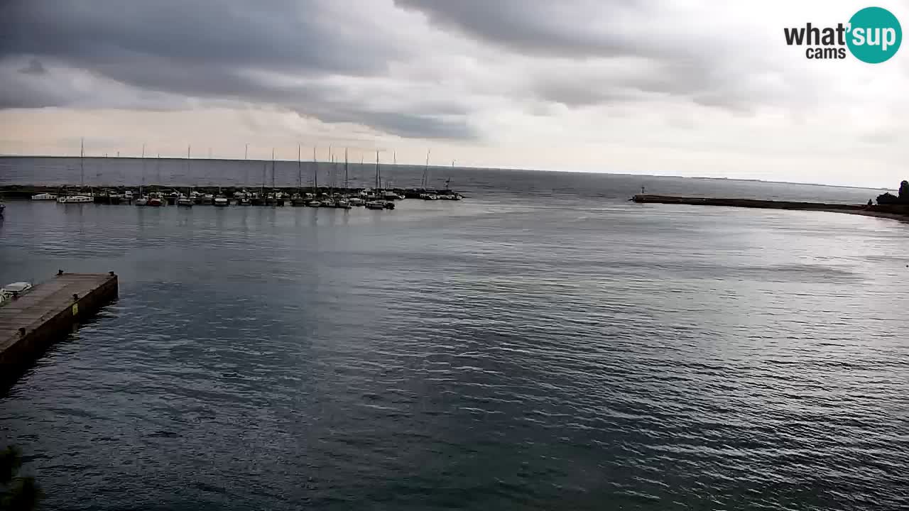 Webcam Sistiana Bucht – Liveblick auf Marina und Bucht