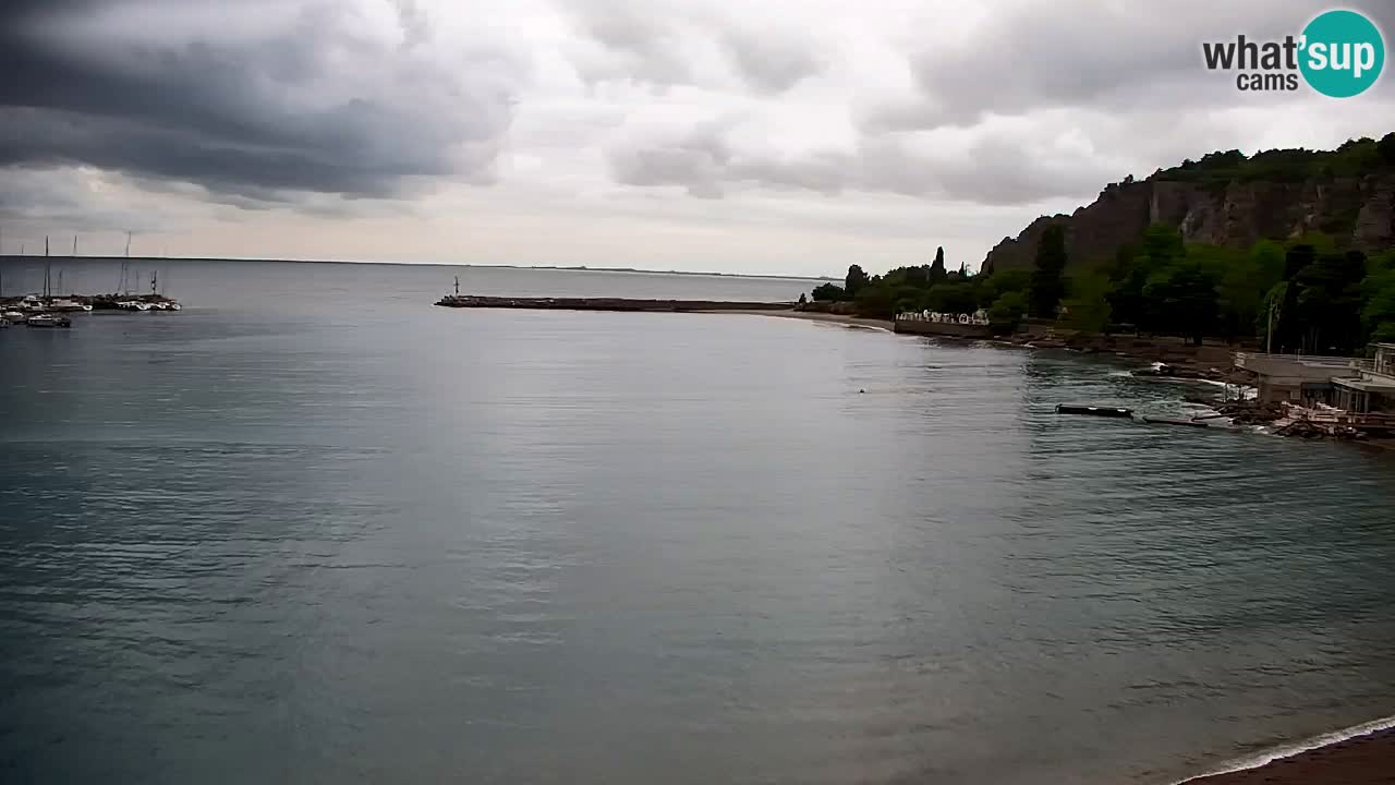 Webcam Sistiana Baia – Live View of the Marina and Gulf