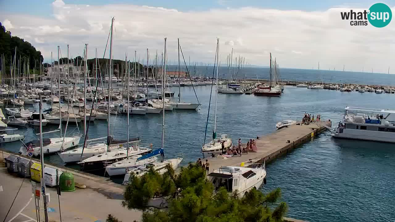 Webcam Sistiana Baia – Live View of the Marina and Gulf