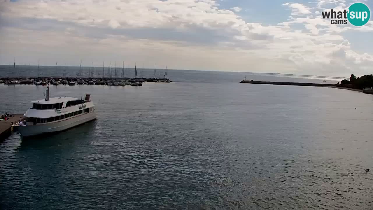 Webcam Sistiana Baia – Live View of the Marina and Gulf