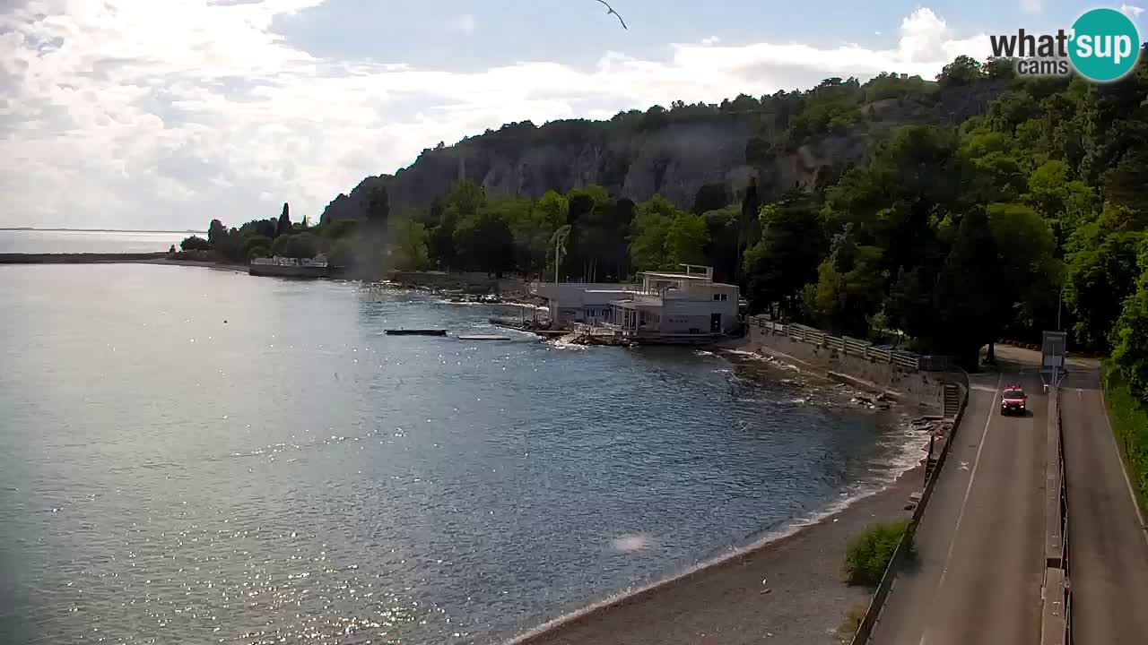 Webcam Sistiana Baia – Live View of the Marina and Gulf