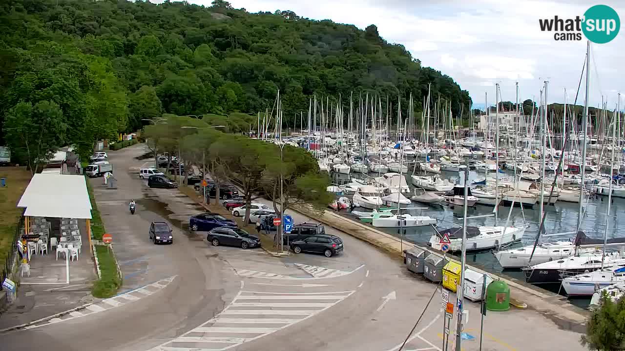 Webcam Sistiana Baia – Live View of the Marina and Gulf