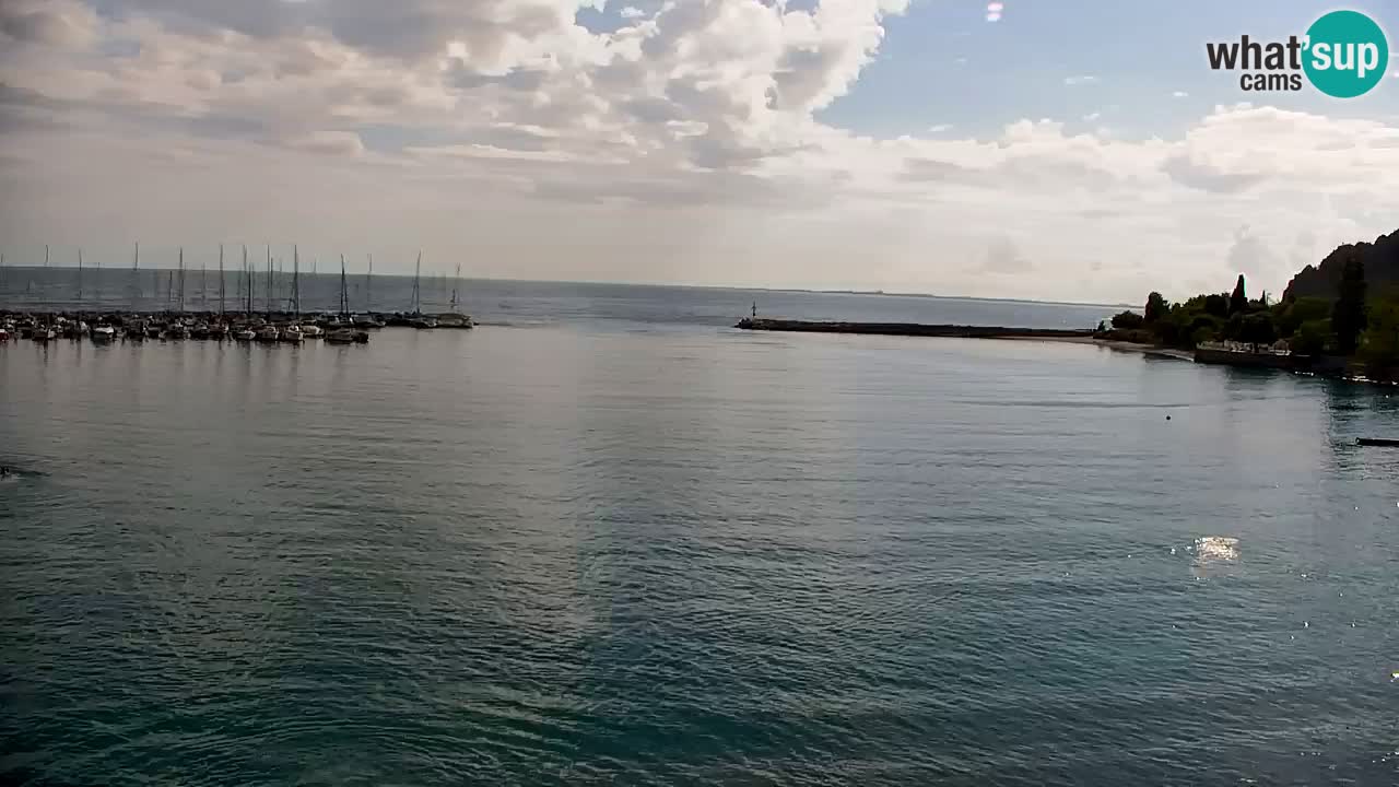 Webcam Sistiana Baia – Live View of the Marina and Gulf