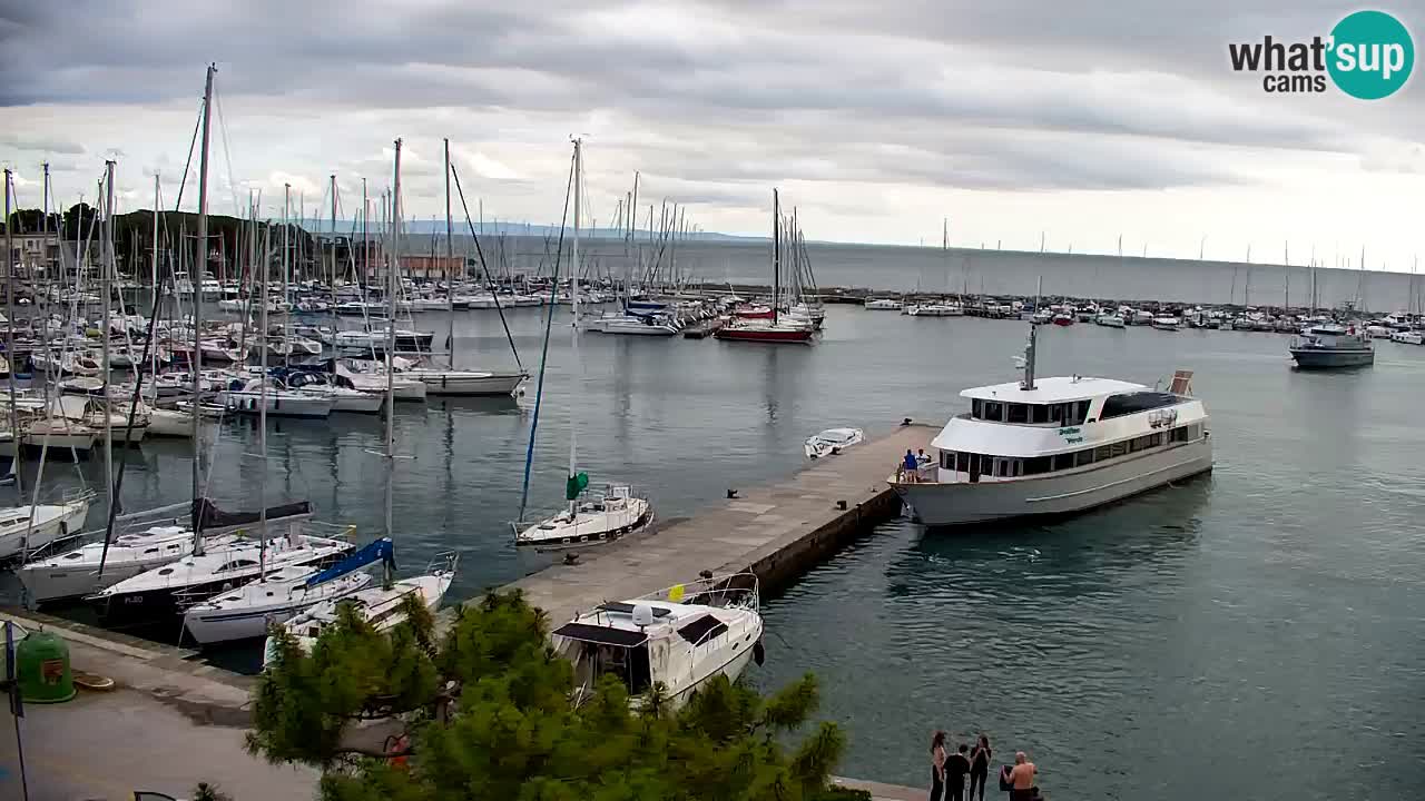 Webcam Sistiana Bucht – Liveblick auf Marina und Bucht