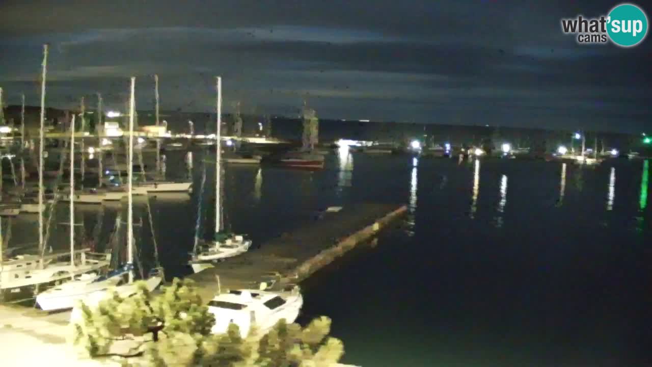 Webcam Bahía de Sistiana – Vista en directo del puerto deportivo y la costa
