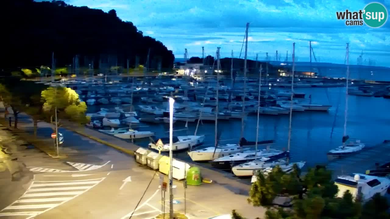 Webcam Sistiana Baia – Live View of the Marina and Gulf