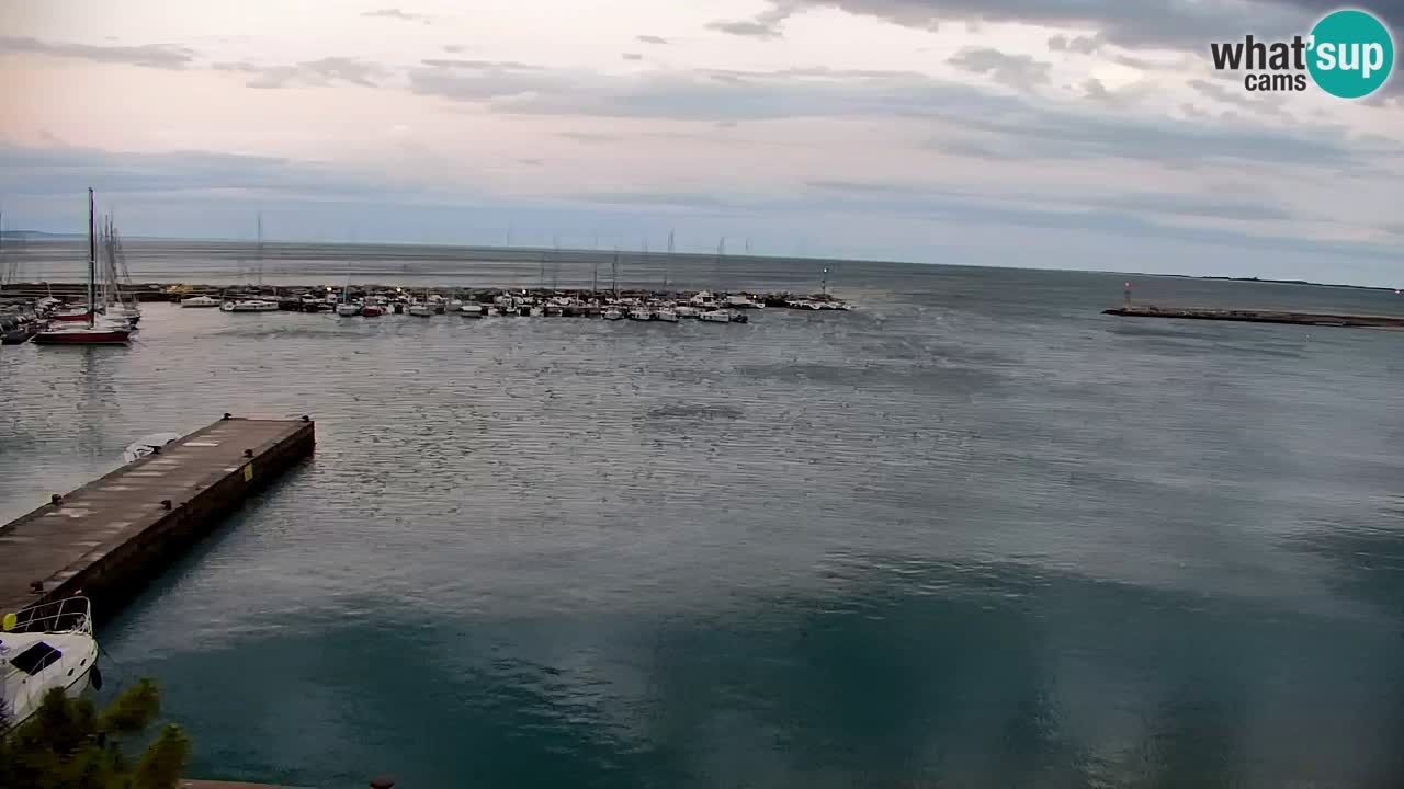 Webcam Bahía de Sistiana – Vista en directo del puerto deportivo y la costa