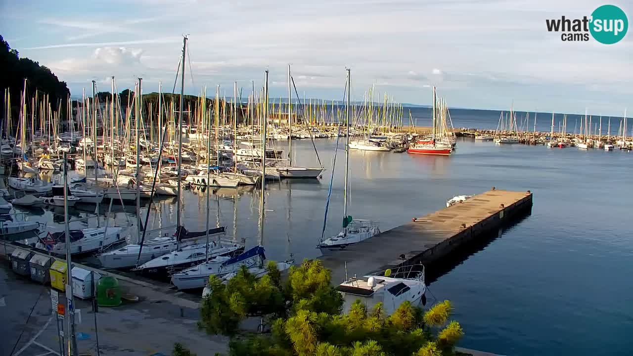 Spletna kamera Sesljanski zaliv – Pogled v živo na marino in zaliv