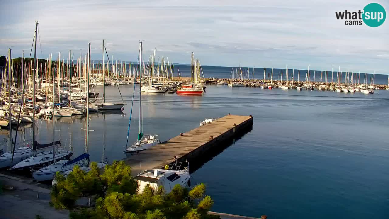 Web kamera Sistiana Uvala – Pogled uživo na marinu i zaljev