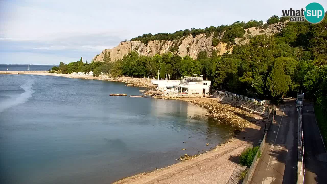Webcam Sistiana Baia – Live View of the Marina and Gulf