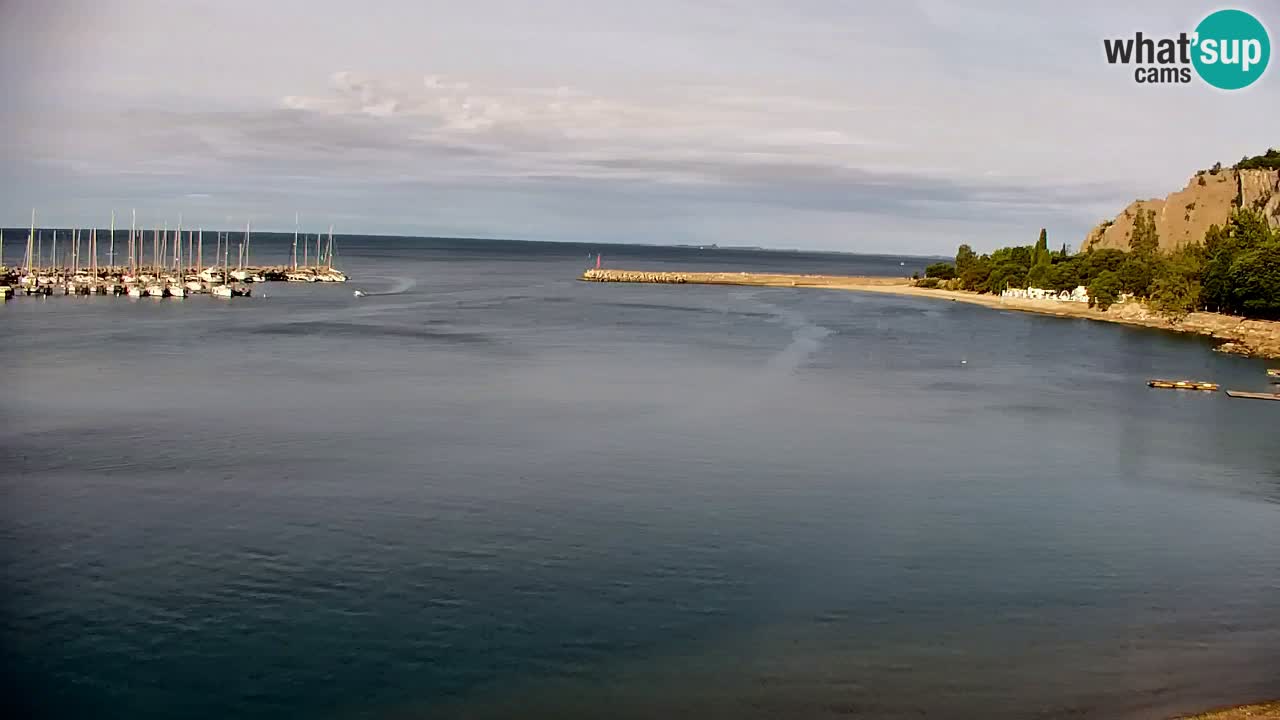 Webcam Bahía de Sistiana – Vista en directo del puerto deportivo y la costa
