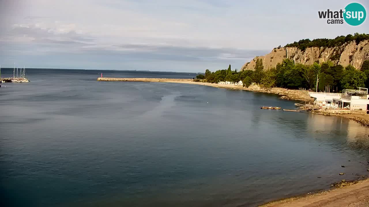 Webcam Bahía de Sistiana – Vista en directo del puerto deportivo y la costa