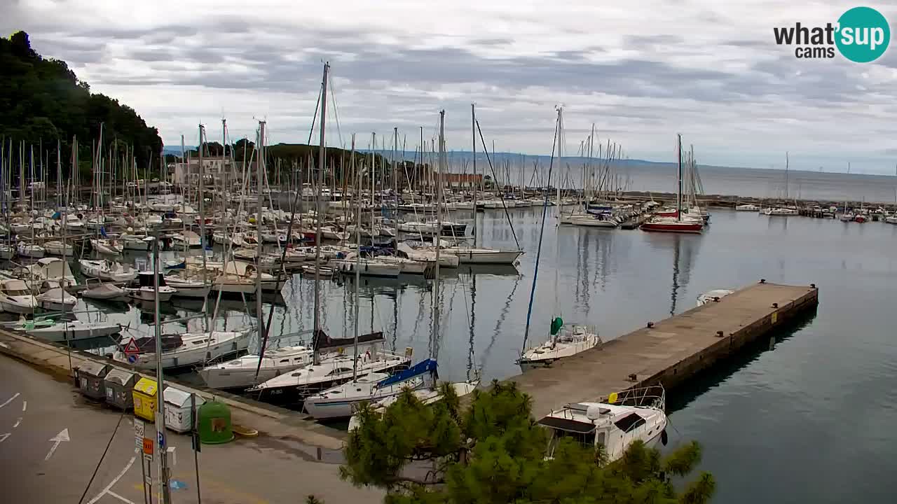 Webcam Bahía de Sistiana – Vista en directo del puerto deportivo y la costa