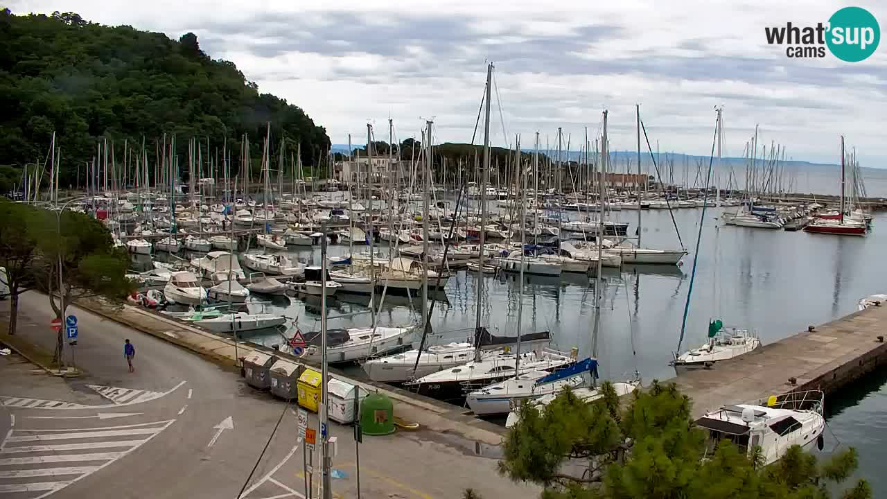 Spletna kamera Sesljanski zaliv – Pogled v živo na marino in zaliv
