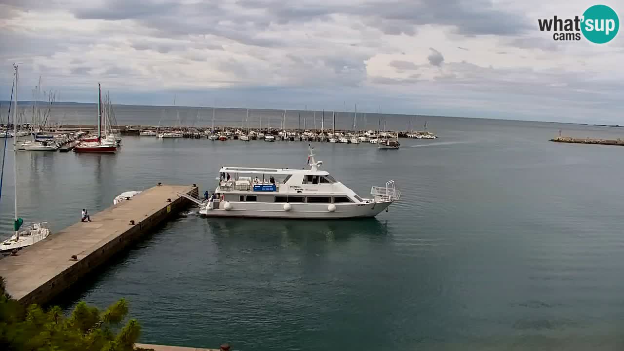 Spletna kamera Sesljanski zaliv – Pogled v živo na marino in zaliv