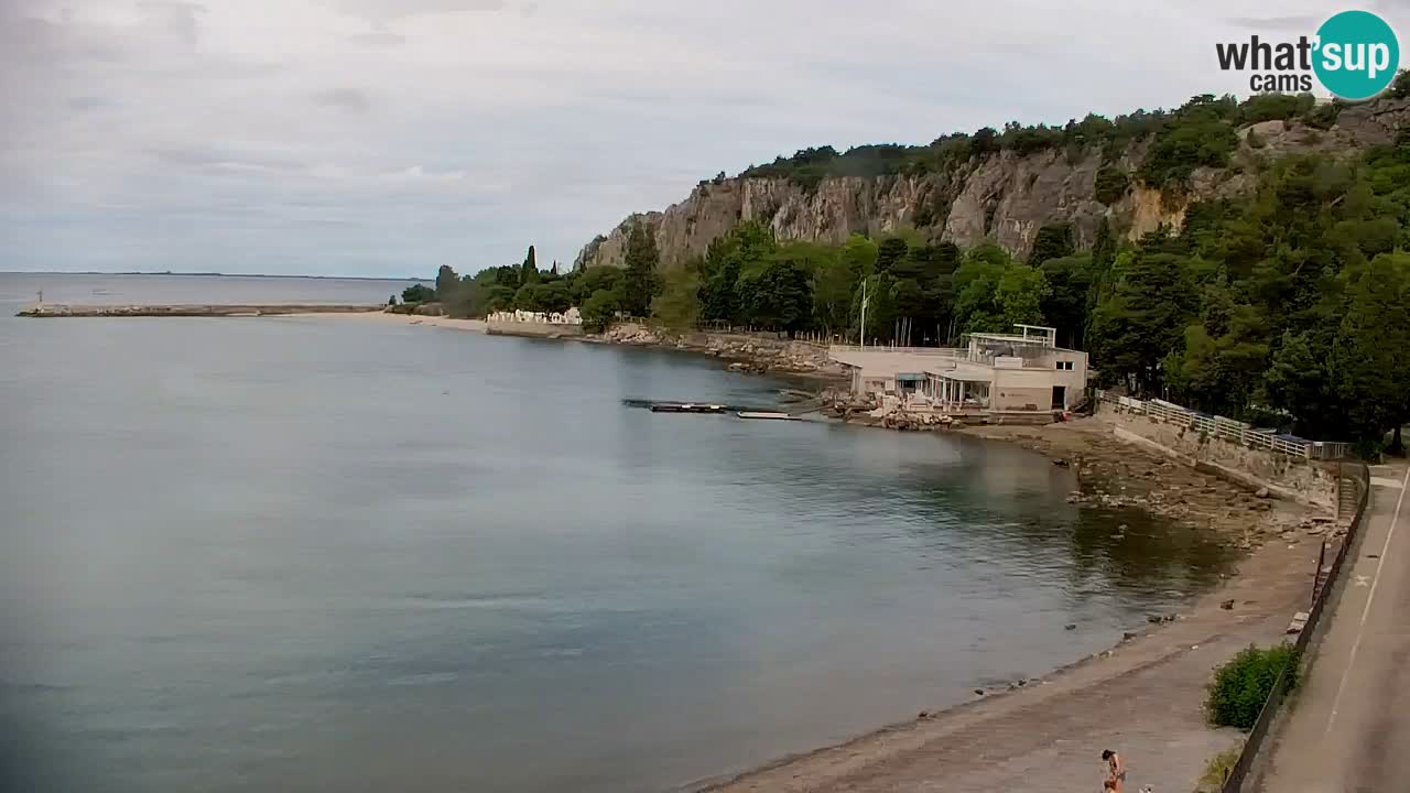 Spletna kamera Sesljanski zaliv – Pogled v živo na marino in zaliv