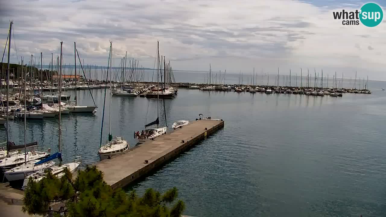Webcam Sistiana Baia – Live View of the Marina and Gulf