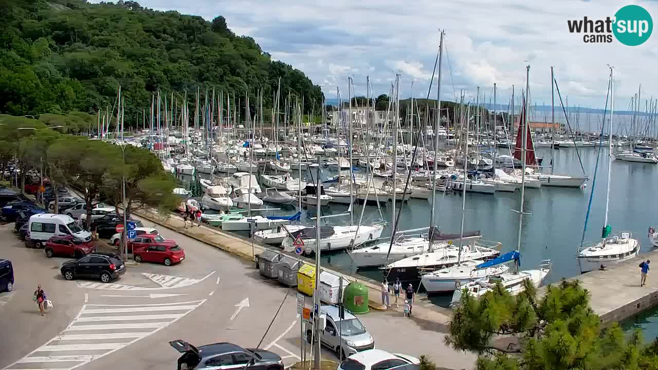 Webcam Sistiana Baia – Live View of the Marina and Gulf