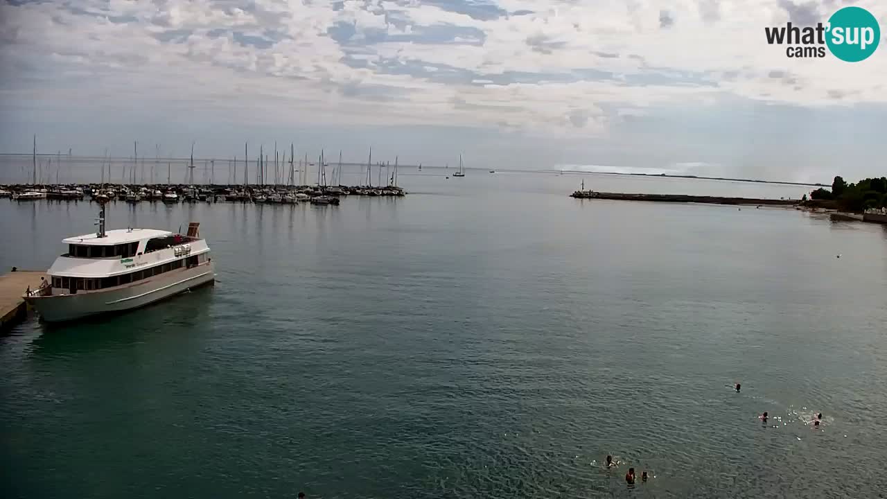 Webcam Sistiana Baia – Live View of the Marina and Gulf