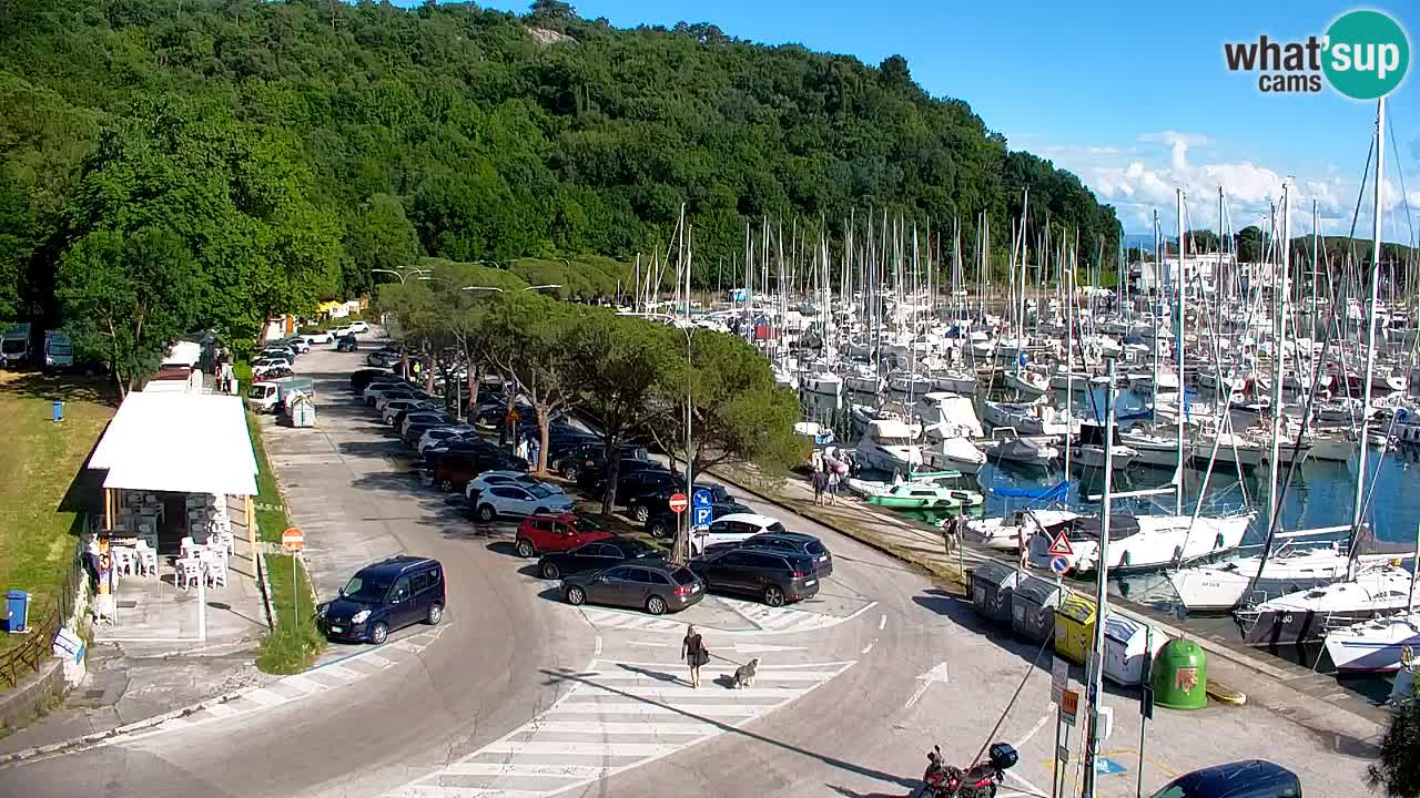 Webcam Sistiana Baia – Live View of the Marina and Gulf