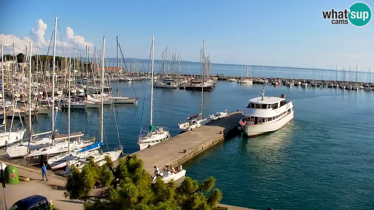 Webcam Sistiana Baia – Live View of the Marina and Gulf