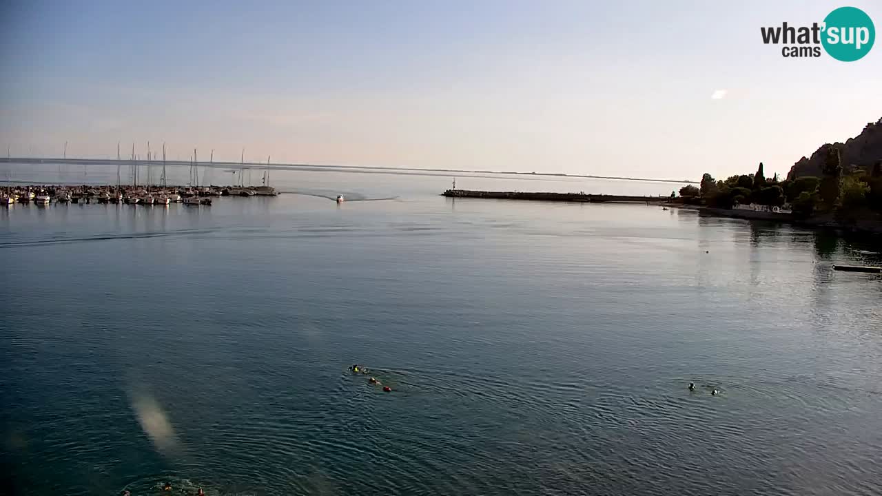 Webcam Sistiana Baia – Live View of the Marina and Gulf