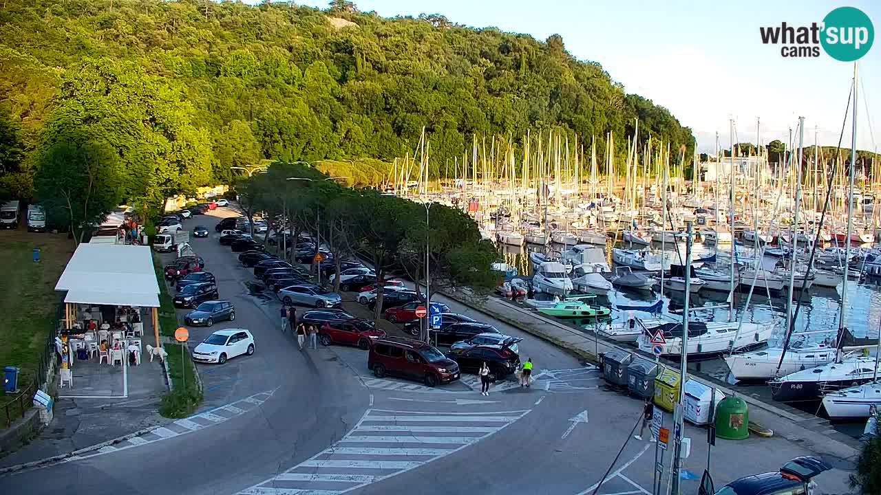Webcam Sistiana Baia – Live View of the Marina and Gulf