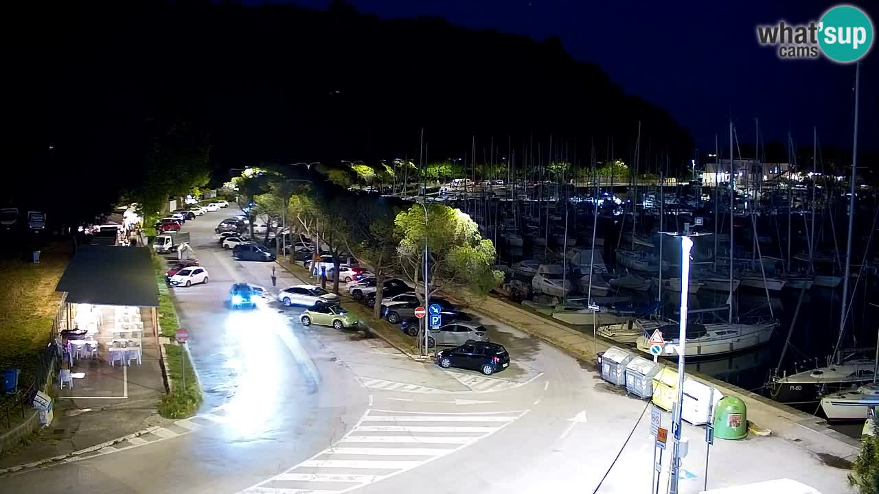 Webcam Sistiana Baia – Live View of the Marina and Gulf
