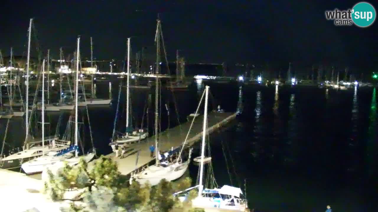 Webcam Sistiana Baia – Live View of the Marina and Gulf