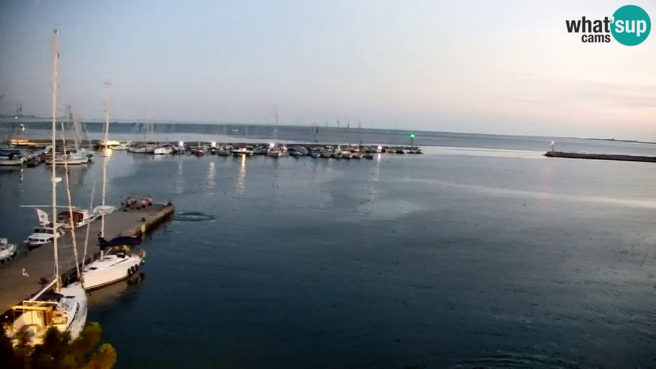Webcam Sistiana Baia – Live View of the Marina and Gulf
