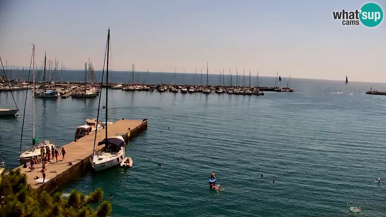 Webcam Sistiana Baia – Live View of the Marina and Gulf