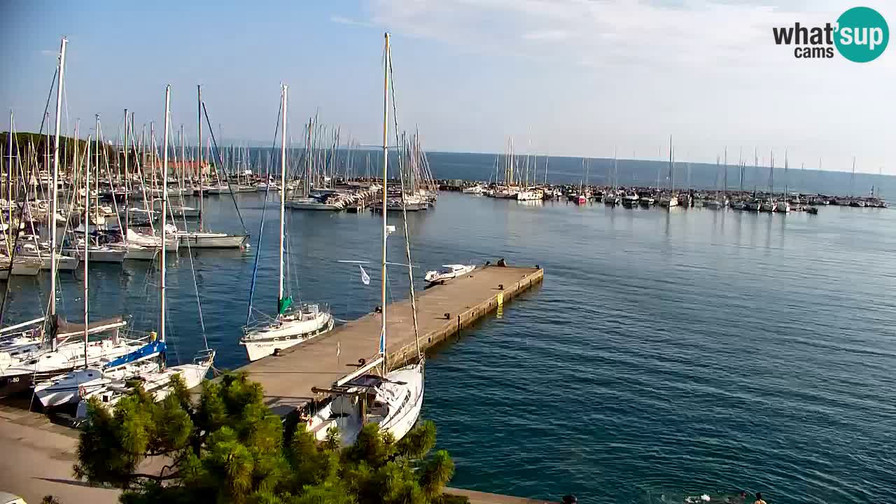 Webcam Bahía de Sistiana – Vista en directo del puerto deportivo y la costa
