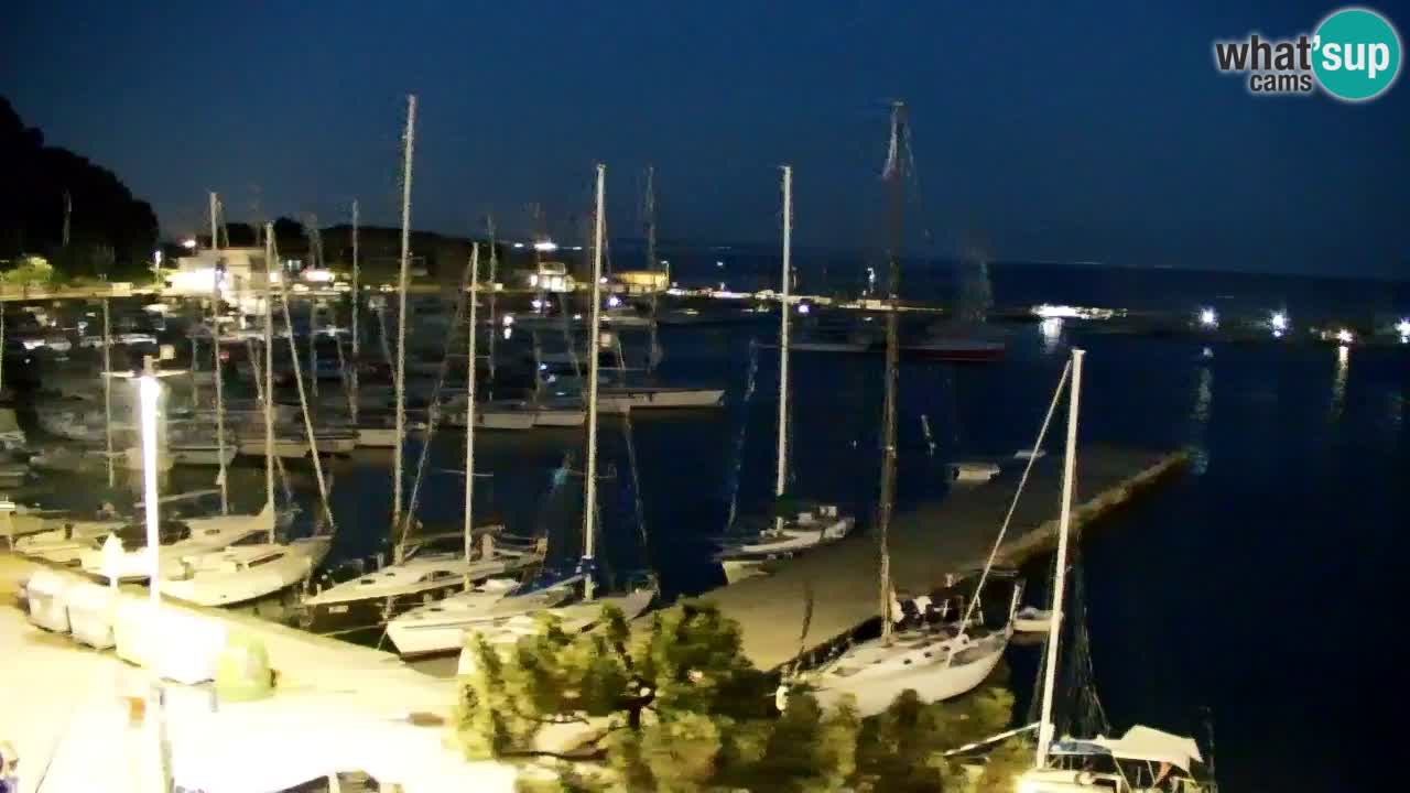 Web kamera Sistiana Uvala – Pogled uživo na marinu i zaljev