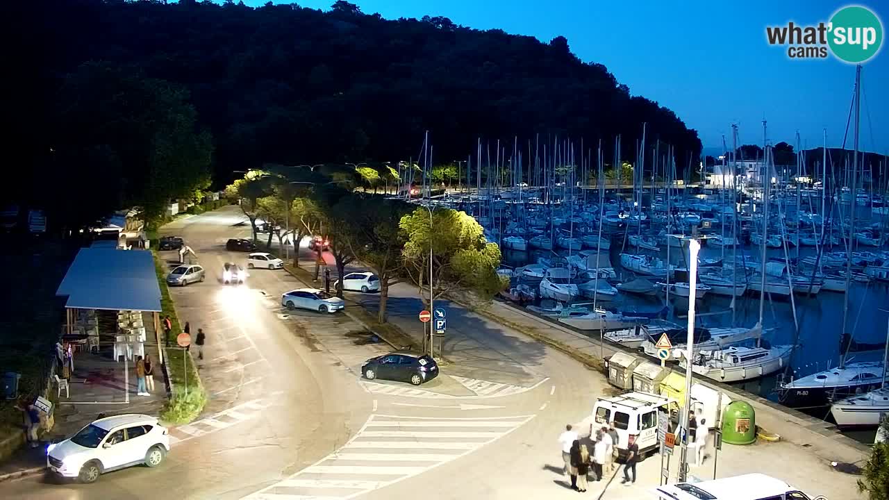 Webcam Baia di Sistiana – Marina e Golfo in diretta