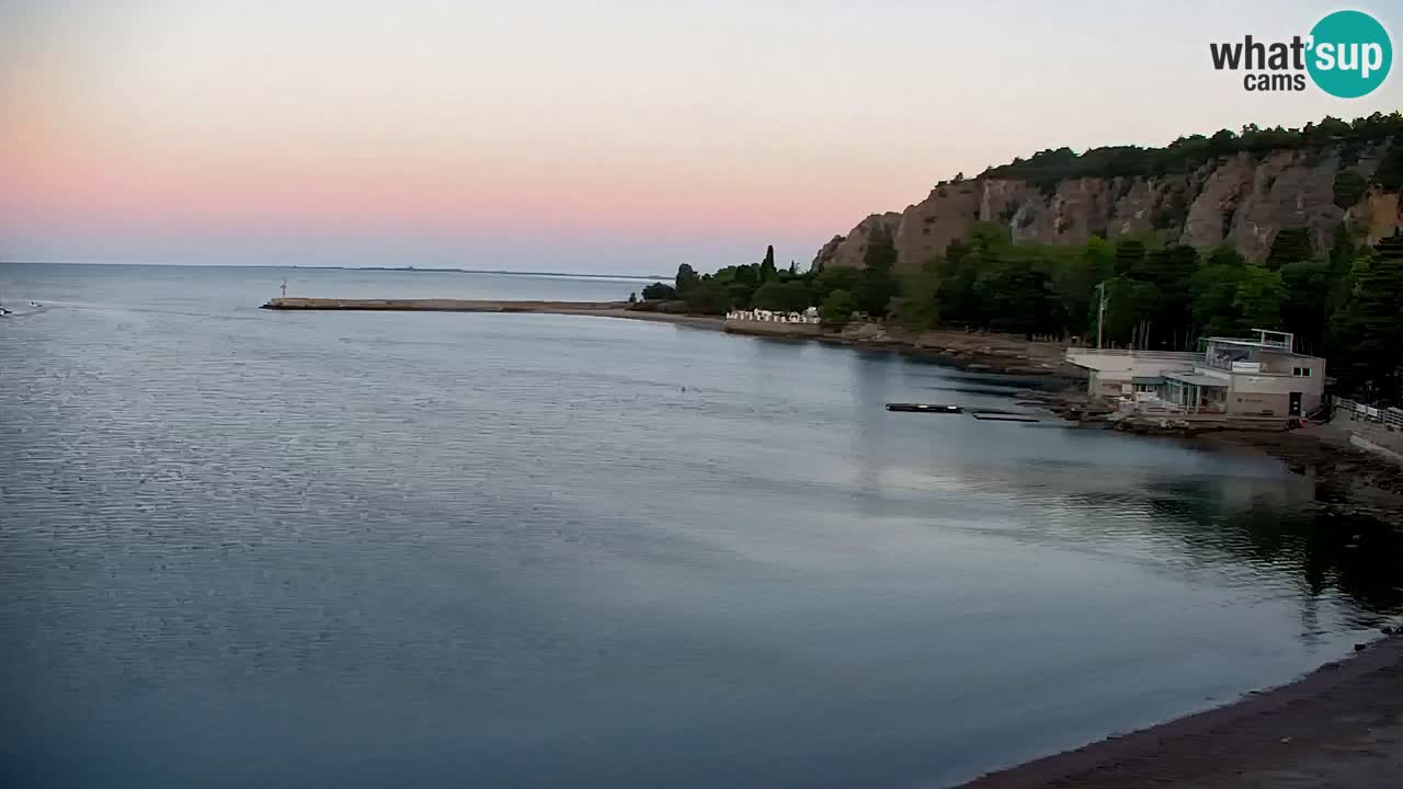 Webcam Sistiana Baia – Live View of the Marina and Gulf