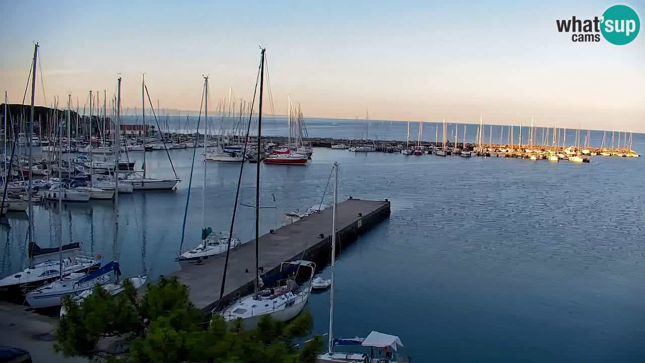 Spletna kamera Sesljanski zaliv – Pogled v živo na marino in zaliv