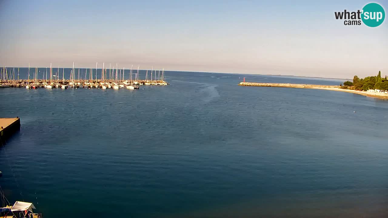 Webcam Sistiana Baia – Live View of the Marina and Gulf
